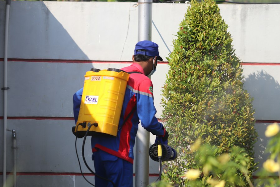 Técnico aplicando tratamiento con fumigadora de mochila