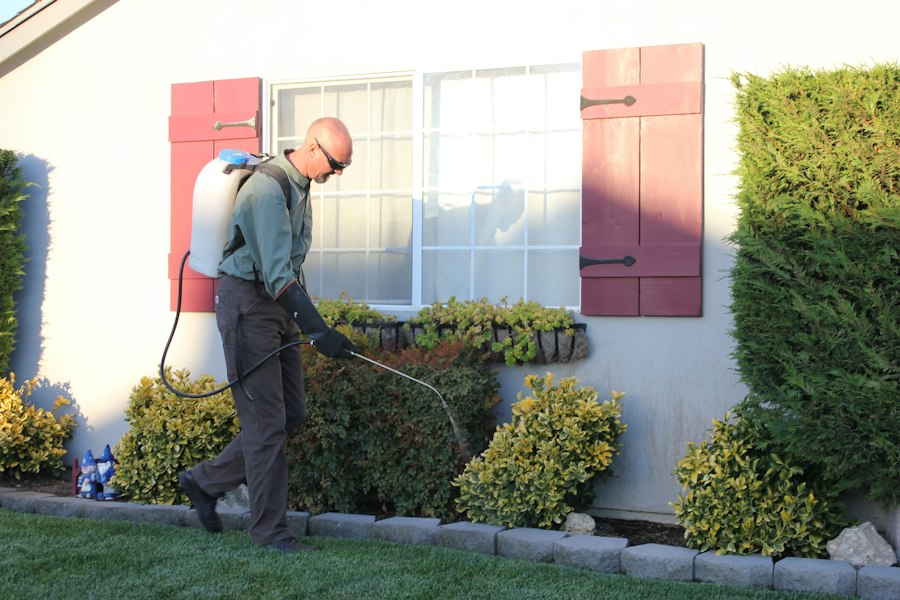 Técnico fumigando el jardín exterior de una casa